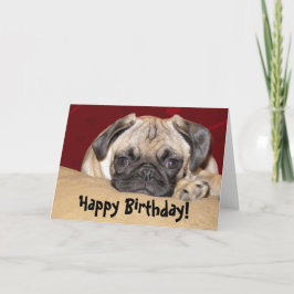 Tarjeta Cute Pug Puppy Birday Wish