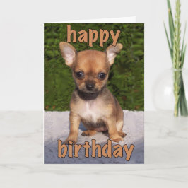 Tarjeta Cute Puppy Birday Card
