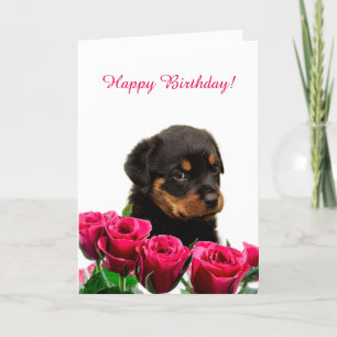 Tarjeta Cute Rottweiler Puppy Roses Rojos Feliz cumpleaños
