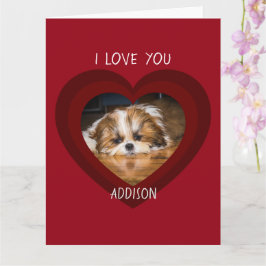 Tarjeta Cute shih tzu love Valentine heart photo Card