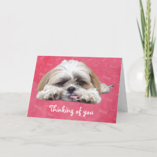 Tarjeta Cute Shih Tzu Puppy: Pensando en ti