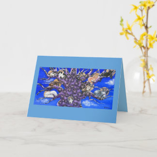 Tarjeta Cute Sleeping Cats in Tree 