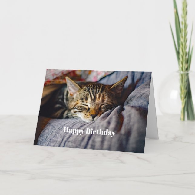 Tarjeta Cute Sleeping Tabby Cat Photo Birday (Anverso)