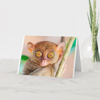 Tarjeta Cute Slow Loris Birday Card