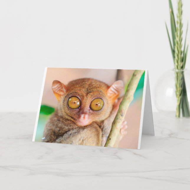 Tarjeta Cute Slow Loris Birday Card (Anverso)
