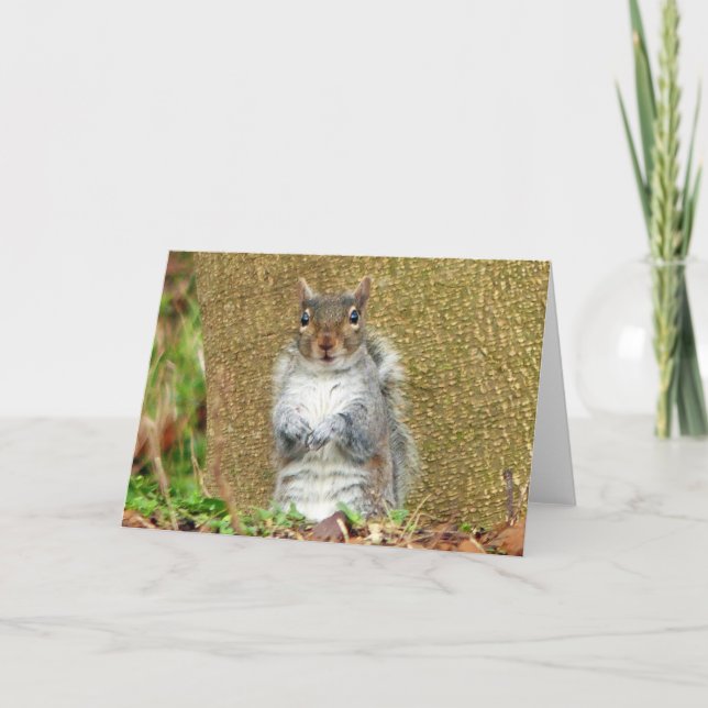 Tarjeta Cute Squirrel (Anverso)