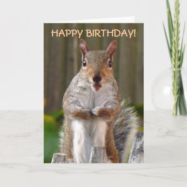 Tarjeta Cute Squirrel Feliz cumpleaños (Anverso)