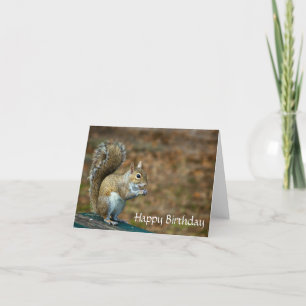 Tarjeta Cute Squirrel Happy Birday Card