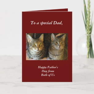 Tarjeta Cute Tabby Gats Día del Padre Rojo 