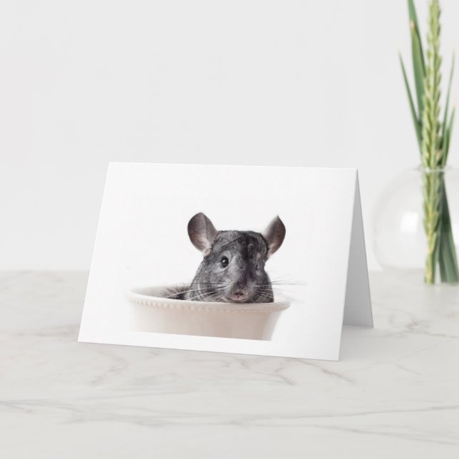 Tarjeta Cute Teacup Chinchilla Gray (Anverso)
