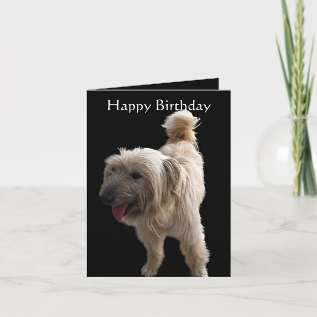 Tarjeta Cute Terrier (Anverso)