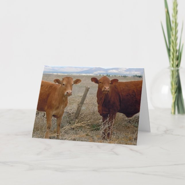 Tarjeta Cute Vet Graduation Felicitaciones Ranch Farm DVM (Anverso)