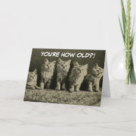 Tarjeta Cute Vintage Retro Gatitos Felices Cumpleaños