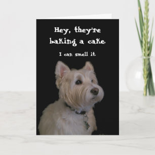 Tarjeta Cute Westie Birthday Card