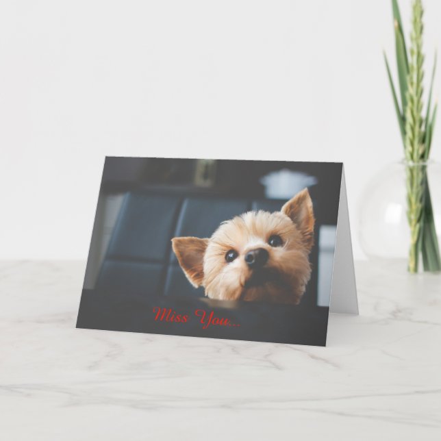 Tarjeta Cute Yorkshire Terrier Puppy Dog Miss You Card (Anverso)
