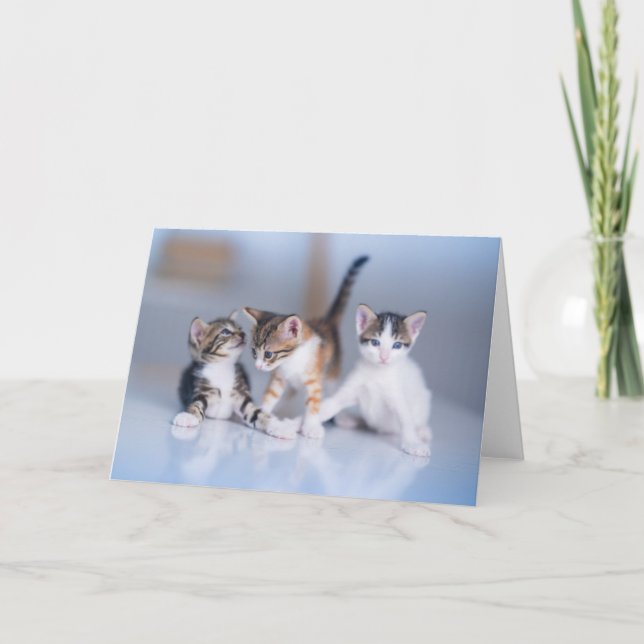 Tarjeta Cutest Baby Animals | 3 Tabby Kittens (Anverso)