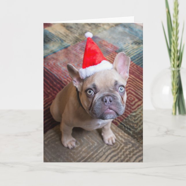 Tarjeta Cutest Baby Animals | French Bulldog Christmas (Anverso)