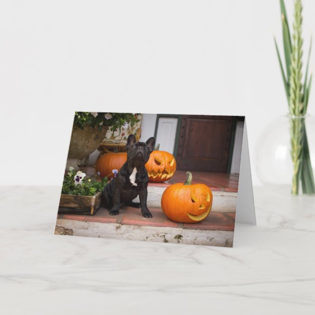 Tarjeta Cutest Baby Animals | French Bulldog Halloween (Anverso)