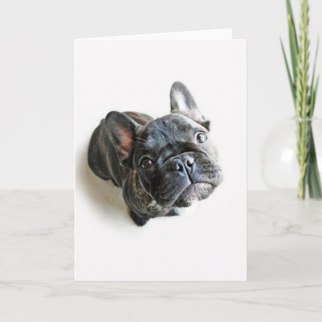 Tarjeta Cutest Baby Animals | French Bulldog Look Up (Anverso)