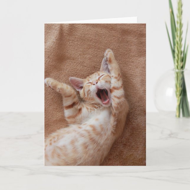 Tarjeta Cutest Baby Animals | Ginger Kitten Yawning (Anverso)