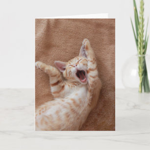 Tarjeta Cutest Baby Animals   Ginger Kitten Yawning