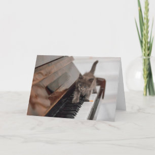 Tarjeta Cutest Baby Animals Kitten on Piano