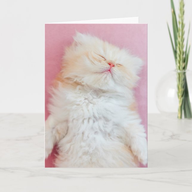 Tarjeta Cutest Baby Animals | Lovely Kitten Sleeping (Anverso)