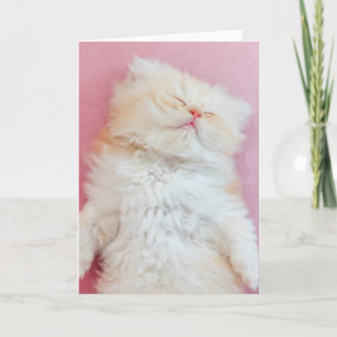 Tarjeta Cutest Baby Animals   Lovely Kitten Sleeping