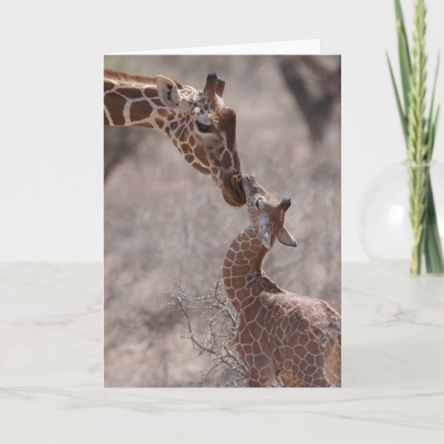 Tarjeta Cutest Baby Animals | Mother and Baby Giraffe (Anverso)