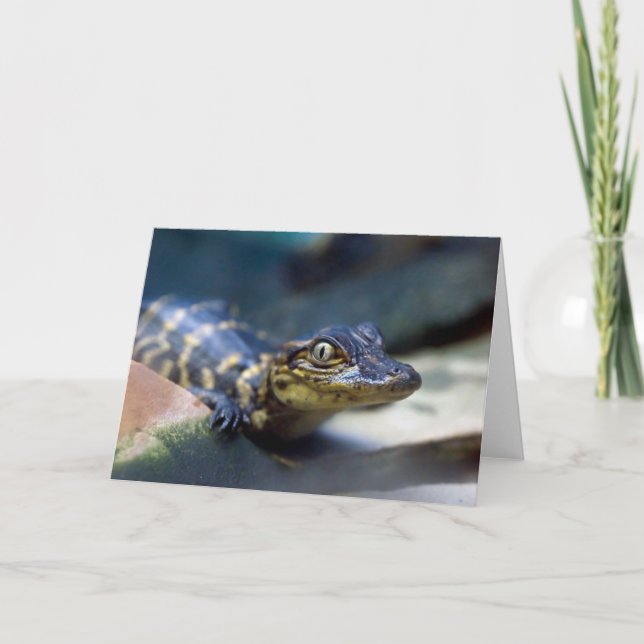 Tarjeta Cutest Baby Animals | Young Alligator (Anverso)