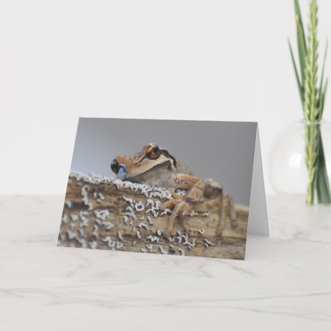 Tarjeta Cutie Pacific Tree Frog-Frameable Art Card (Anverso)