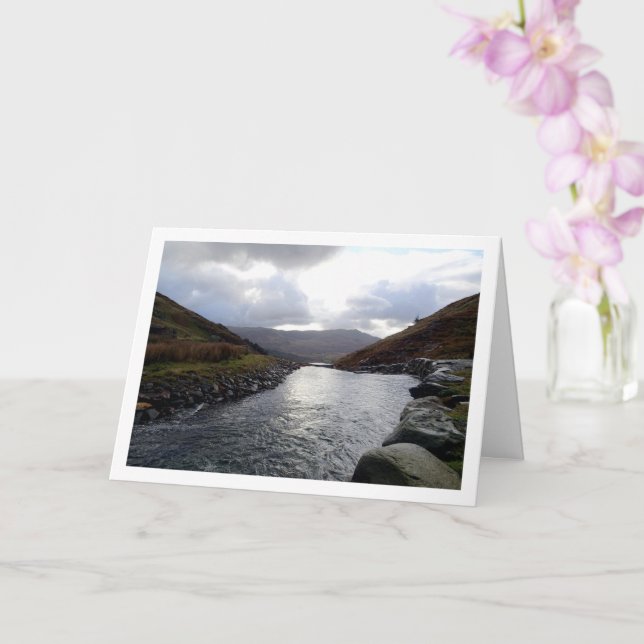 Tarjeta Cwm Llan, Snowdonia, Gales, Reino Unido (Orquídea)