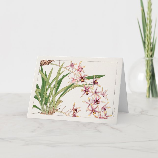 Tarjeta Cymbidium de Tanigami Konan (Anverso)
