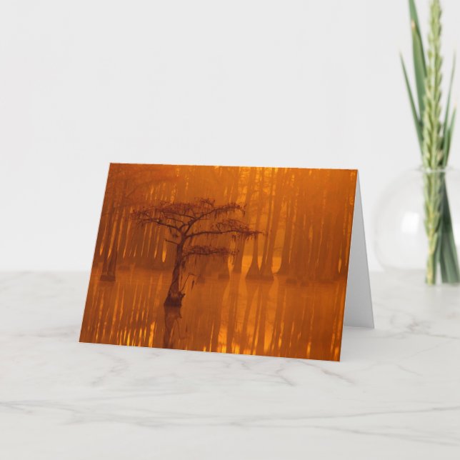 Tarjeta Cypress Trees | Parque estatal George Smith (Anverso)