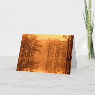 Tarjeta Cypress Trees Parque Estatal George Smith