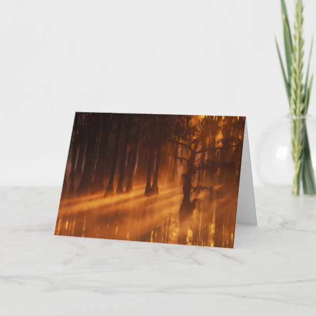 Tarjeta Cypress Trees | Parque estatal George Smith (Anverso)