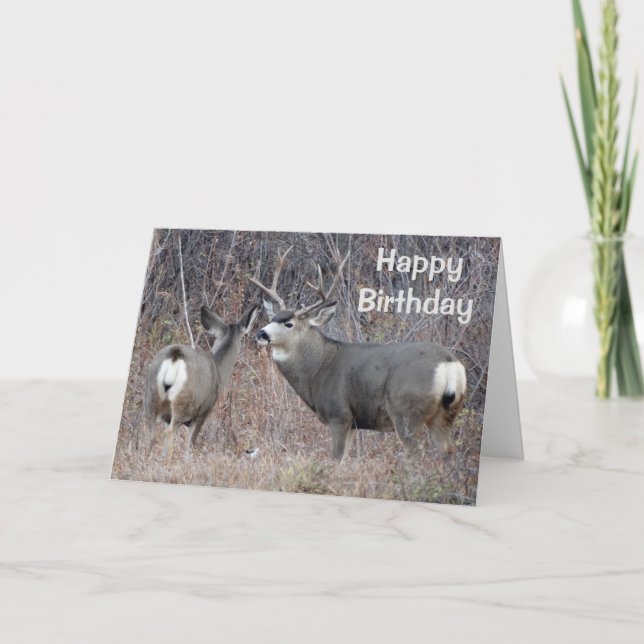 Tarjeta D29 Mule Deer (Anverso)