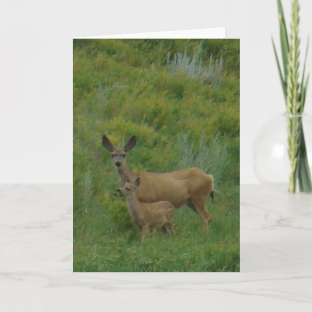 Tarjeta D5 Mule Deer Doe and Fawn (Anverso)