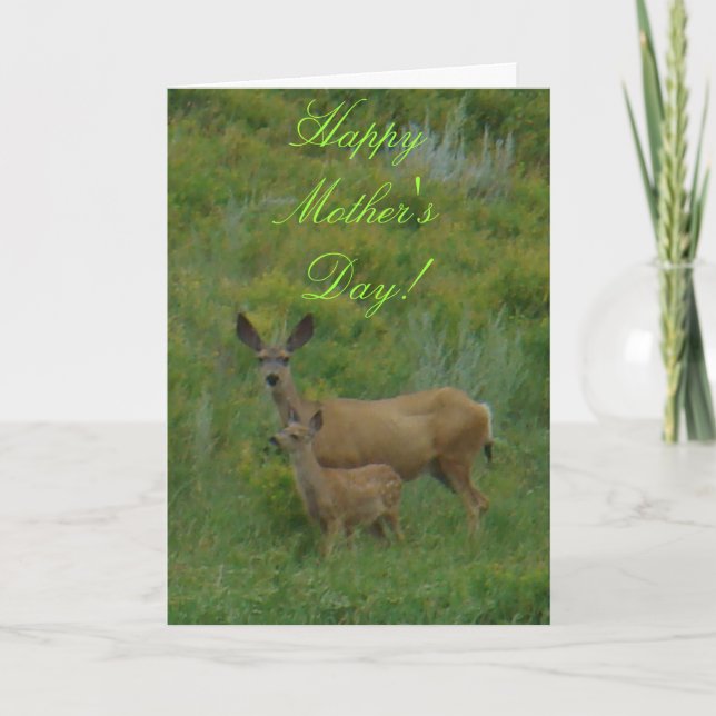 Tarjeta D5 Mule Deer Doe and Fawn (Anverso)