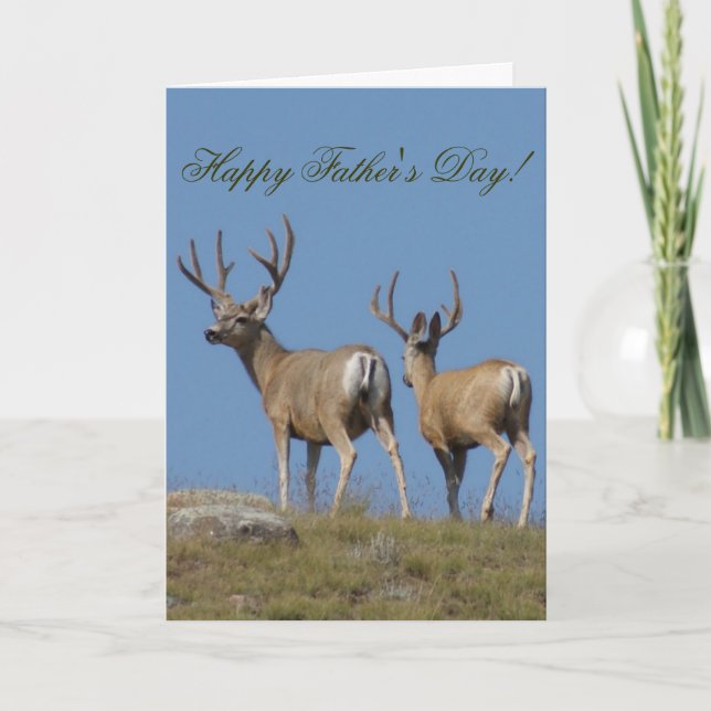 Tarjeta D9b Mule Deer Bucks in Velvet (Anverso)