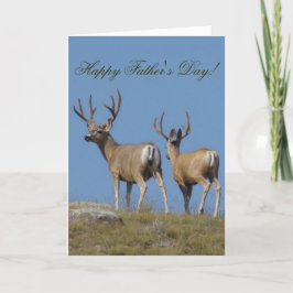 Tarjeta D9b Mule Deer Bucks in Velvet
