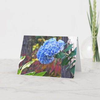 Tarjeta DA el Hydrangea azul que piensa en usted carda