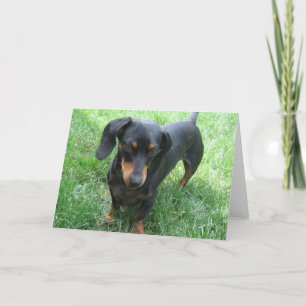 Tarjeta Dachshund