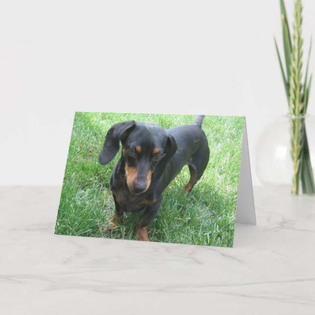 Tarjeta Dachshund (Anverso)