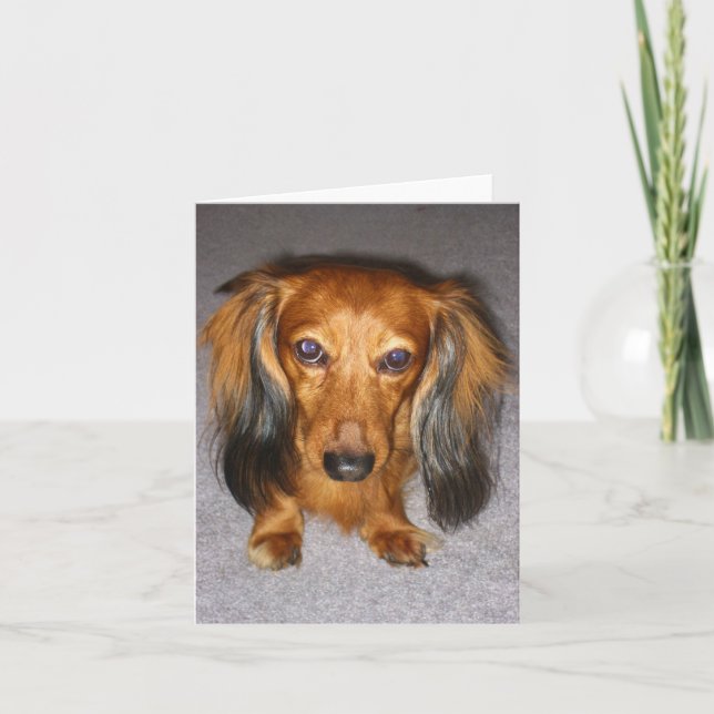Tarjeta Dachshund (Anverso)