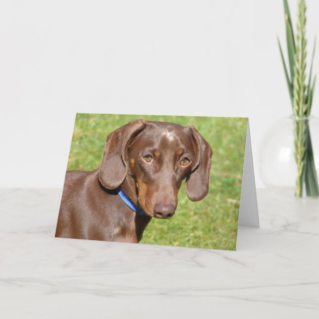 Tarjeta Dachshund (Anverso)