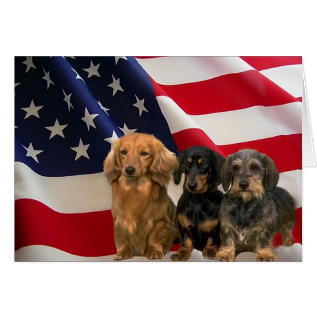 Tarjeta Dachshund America (Anverso (Horizontal))