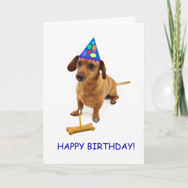 Tarjeta Dachshund Birday Card by Focus for a Cause (Anverso)
