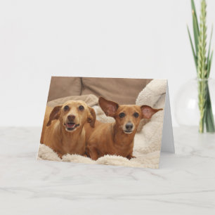 Tarjeta Dachshund Birday Card by Focus for a Cause