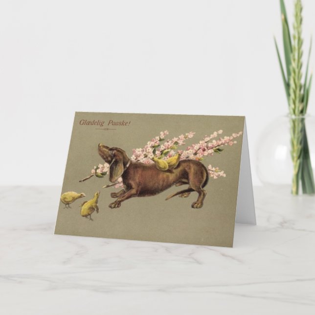 Tarjeta Dachshund de Pascua Danesa - Glædelig Paas (Anverso)